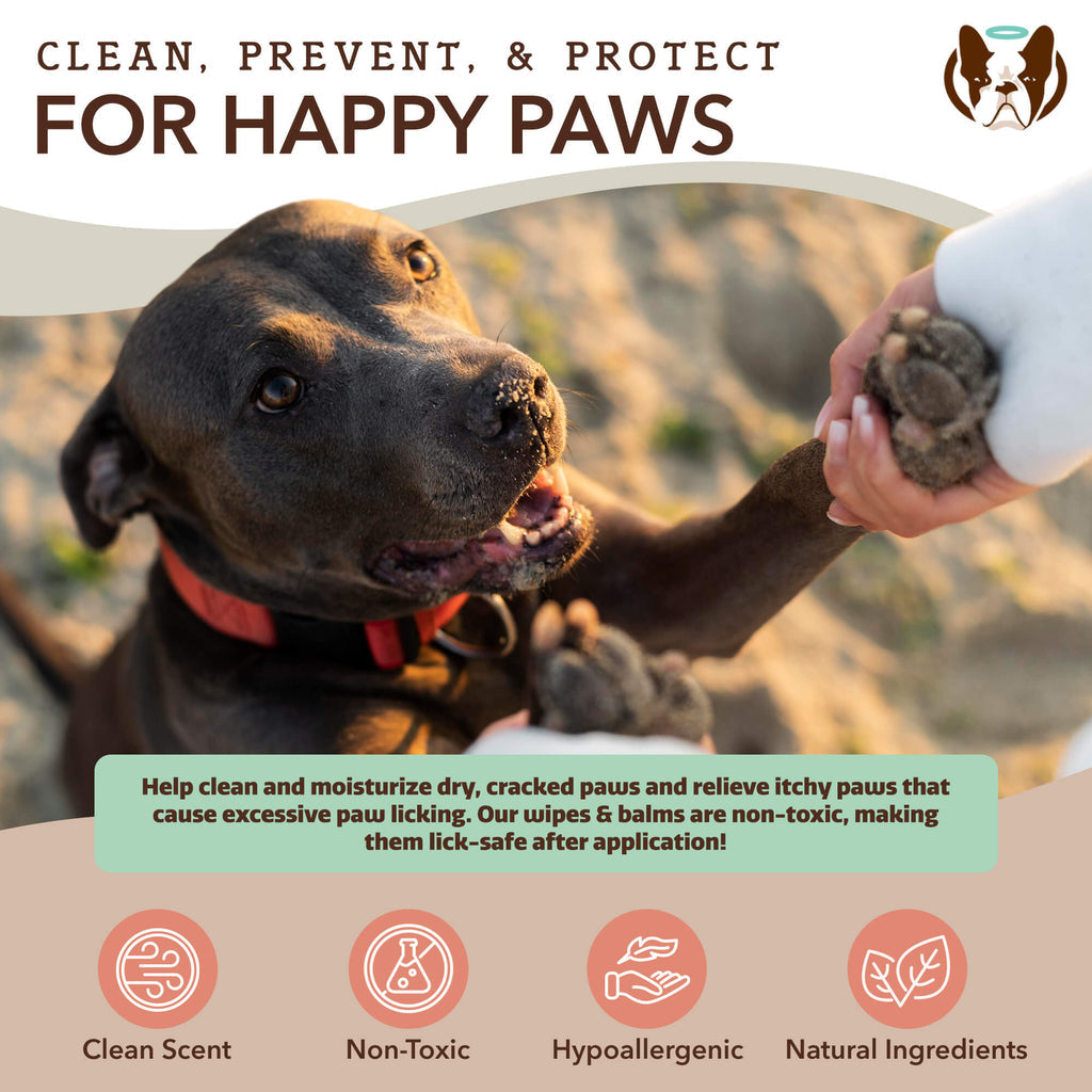 Natural Dog Company Paw Wipes for Dogs