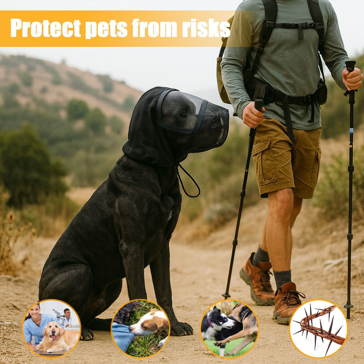 Dog wearing a protective hood with a person hiking in the background, with text 'Protect pets from risks'.