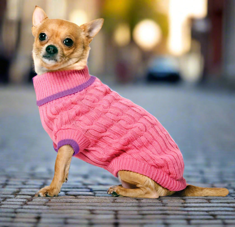chihuahua wearing a pink sweater standing in the street