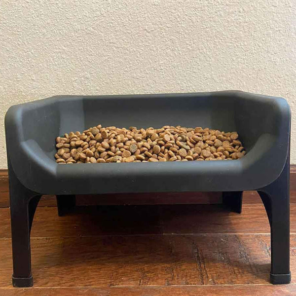 Gray elevated pet feeder with kibble on a wooden floor against a beige wall.