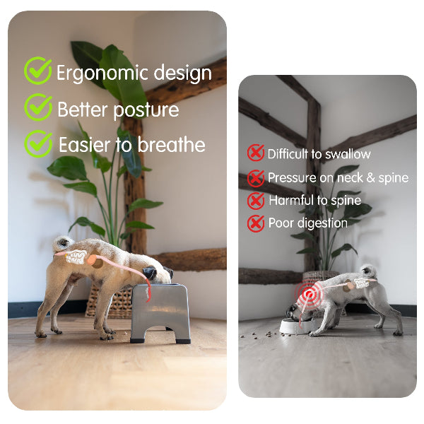 Comparison of a dog using a step stool with ergonomic benefits and a dog struggling to eat on the floor with health issues.