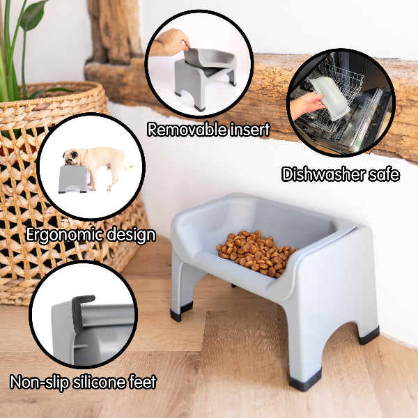 Pet feeding station with features highlighted on a wooden floor.