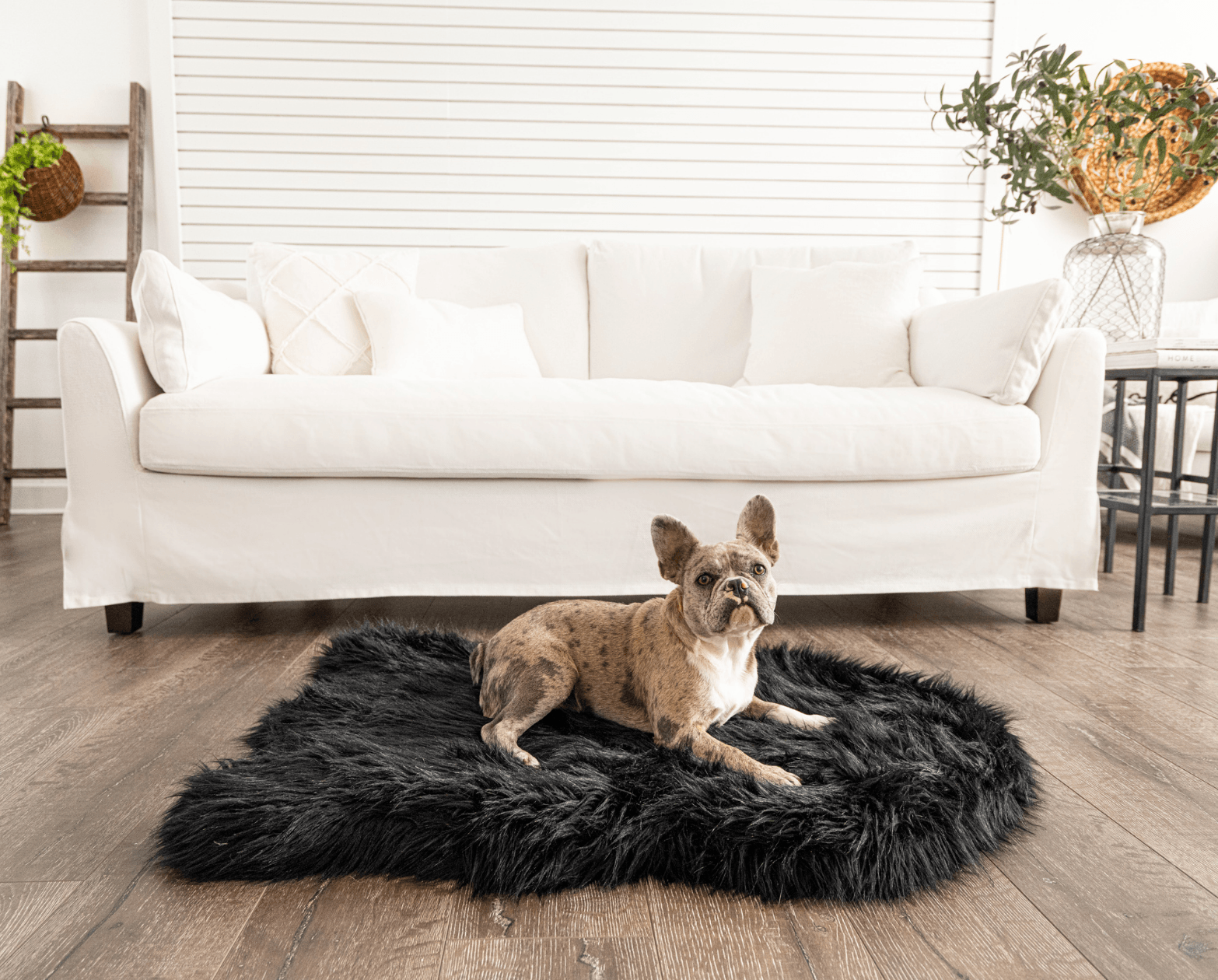PupRug by Paw.com®  Faux Fur Orthopedic Dog Bed - Curve Midnight Black