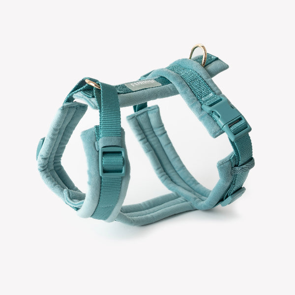 Teal dog harness on a white background