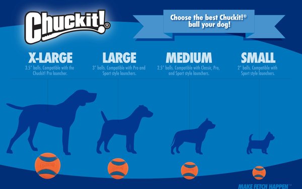 Chuckit! Tennis Balls for Dogs