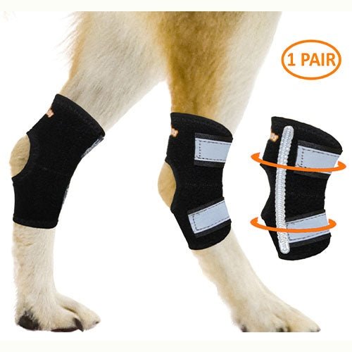 NeoAlly Rear Leg Hock Brace - Metal Spring Strips for Small Dogs (Pair)