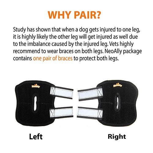 NeoAlly Rear Leg Hock Brace - Metal Spring Strips for Small Dogs (Pair)