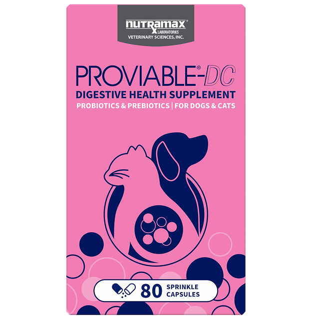 Proviable DC Probiotic