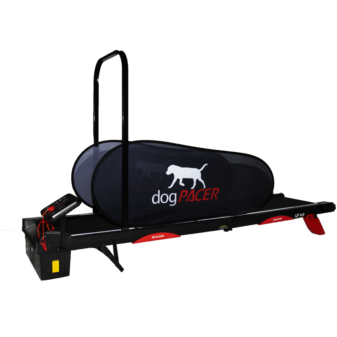 dogPACER 4.0 – Bluetooth Edition