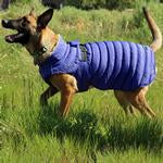 Doggie DesignAlpine Extreme Weather Puffer Coat
