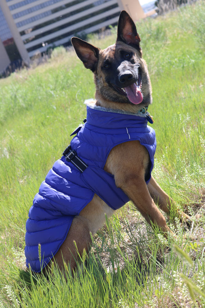 Doggie DesignAlpine Extreme Weather Puffer Coat