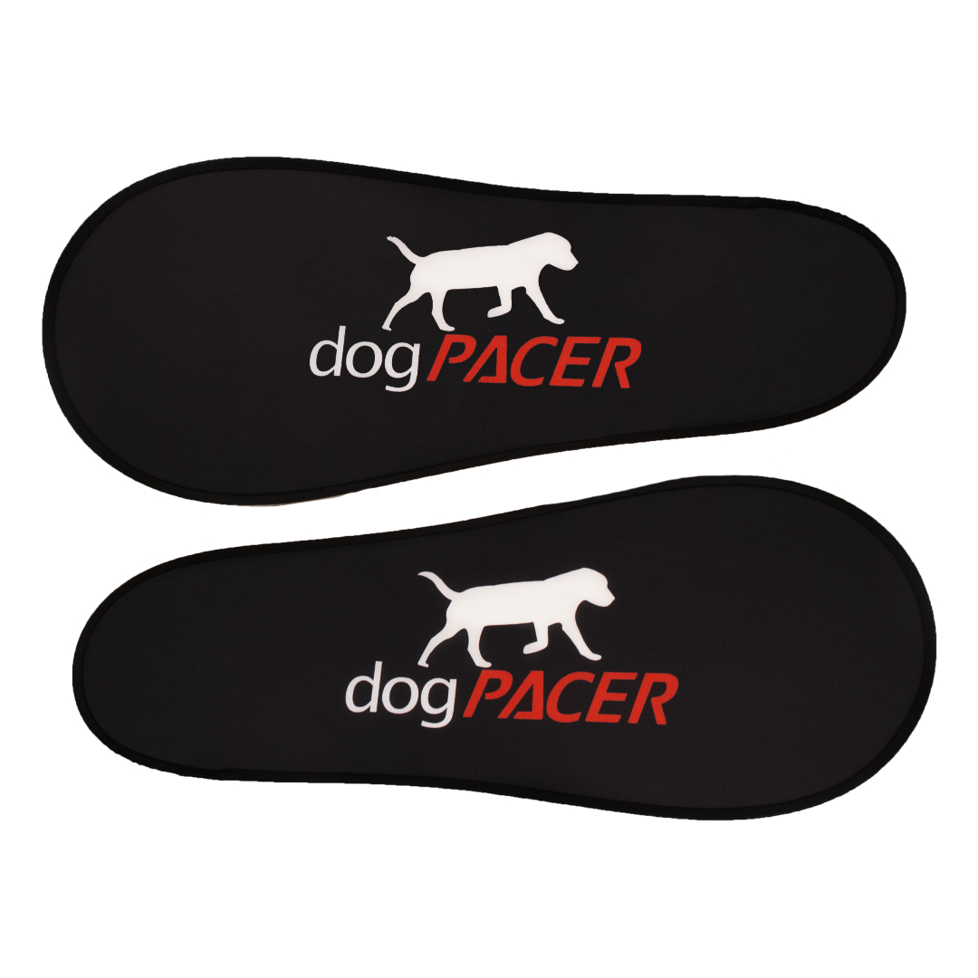 dogPACER 4.0 – Bluetooth Edition