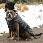 Doggie DesignAlpine Extreme Weather Puffer Coat