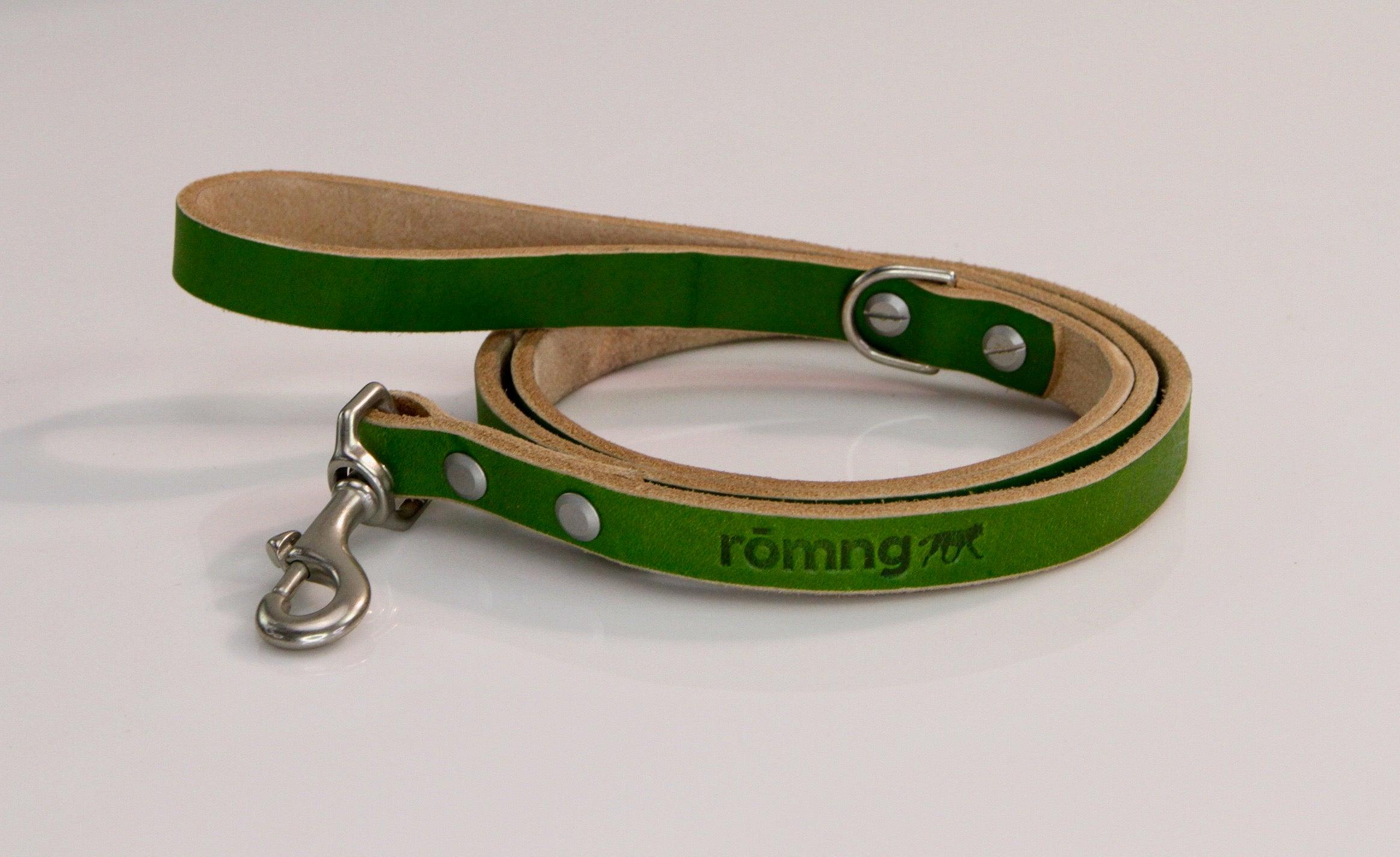 Green dog leash with metal clip on a white background