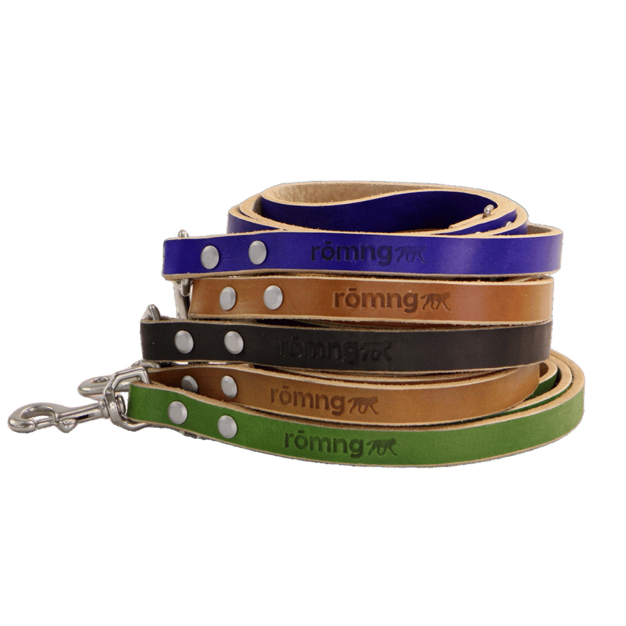 Set of leather dog leashes in blue, brown, and green with 'römng' branding on a transparent background.
