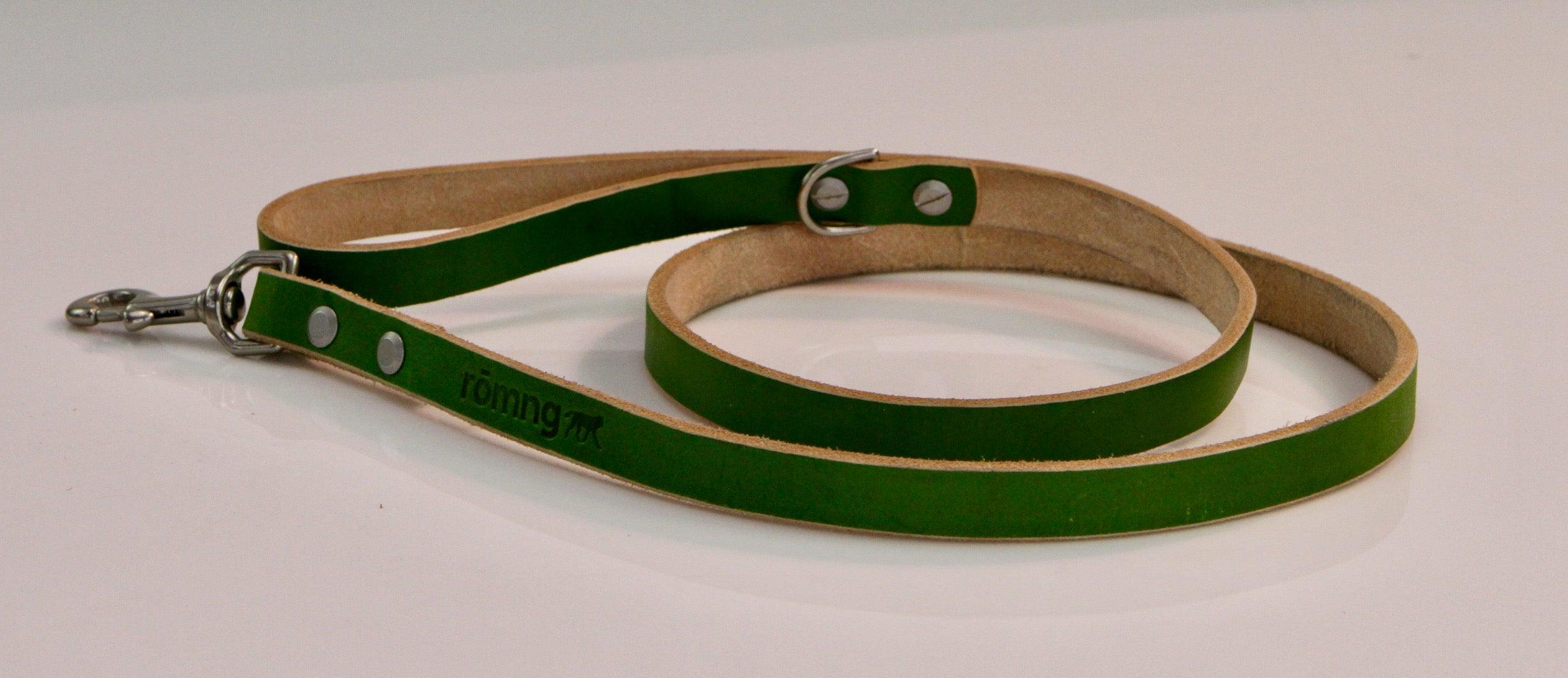 Green leather dog leash on a light gray background