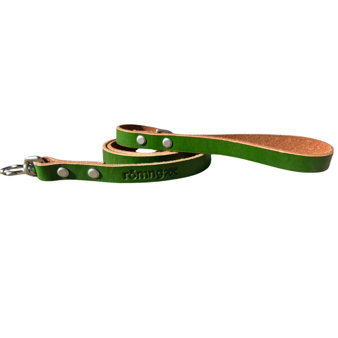 rōmng Handmade Leather Dog Leash