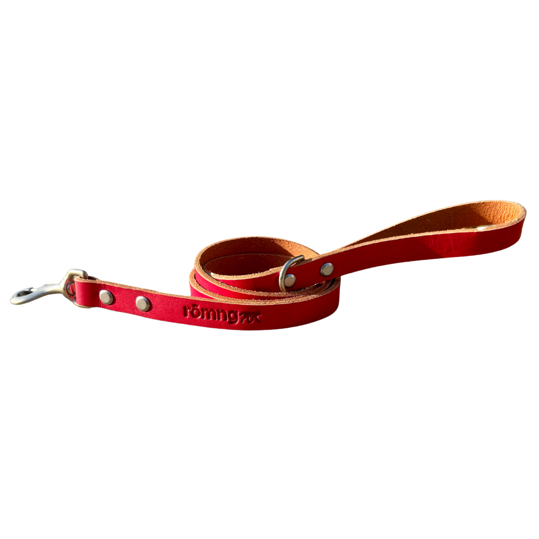rōmng Handmade Leather Dog Leash