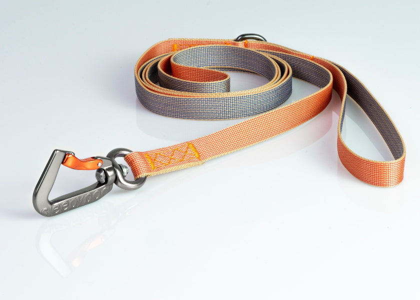 Dog leash with gray and orange design on a light gray background