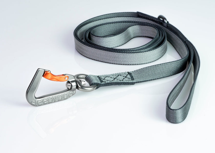 Gray dog leash with a metal clip on a white background