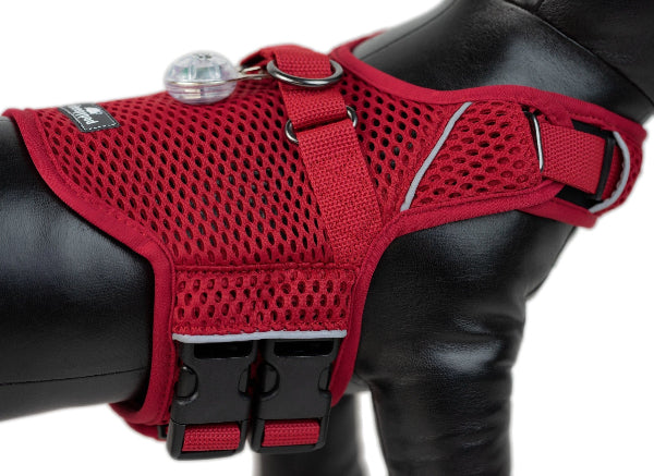 Red dog harness on a black background