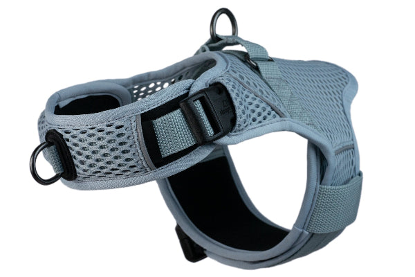 Gray dog harness on a white background