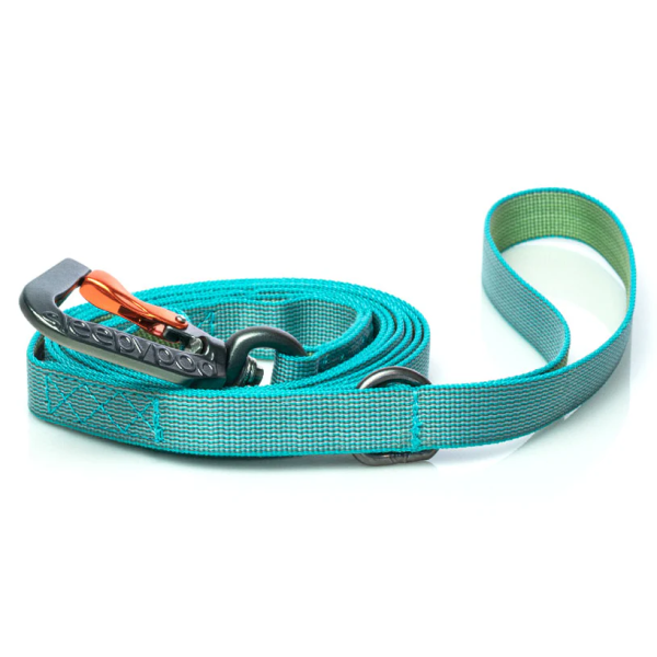 Teal dog leash with metal clip on a white background