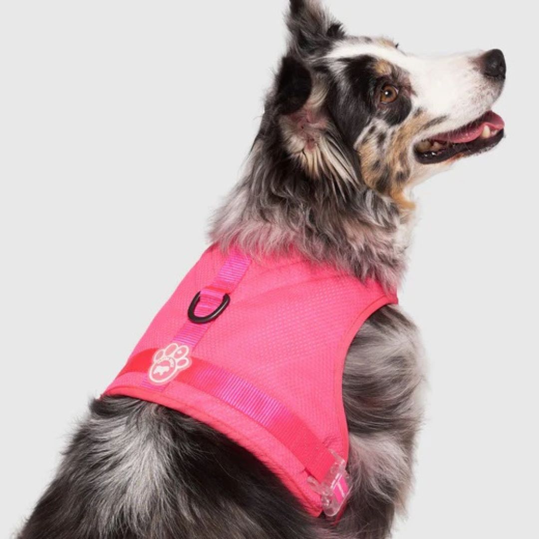 Canada Pooch Cooling Harness - Neon Pink