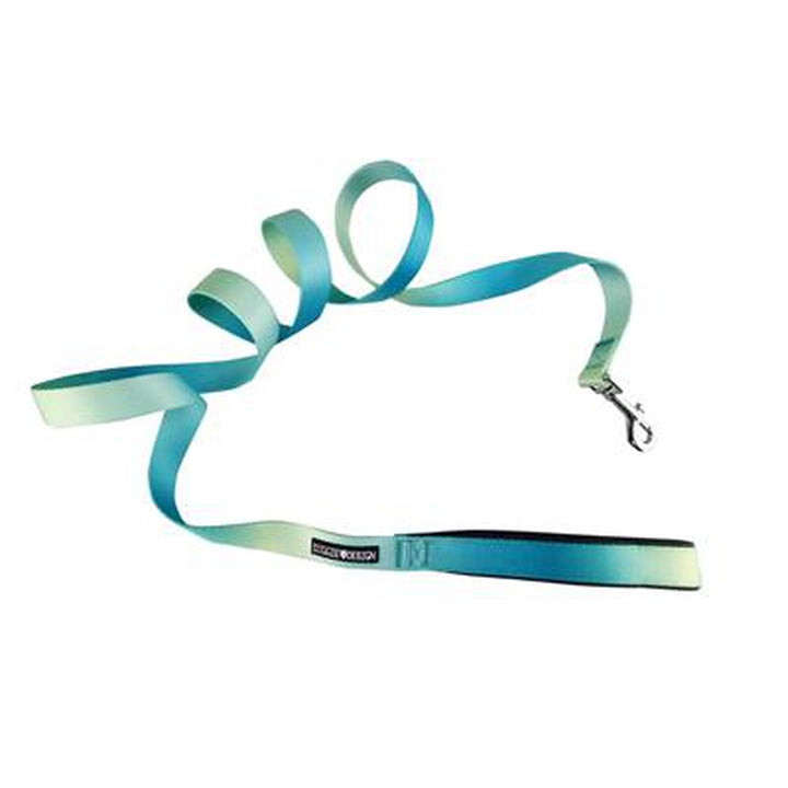 American River Ombre Leash