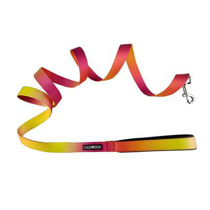 American River Ombre Leash