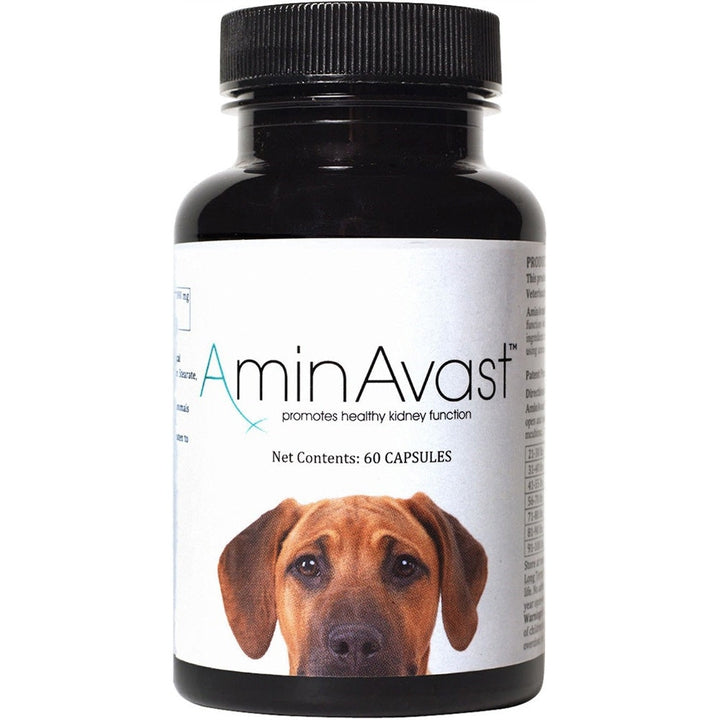 AminAvast Kidney Support for Dogs (60 capsules)