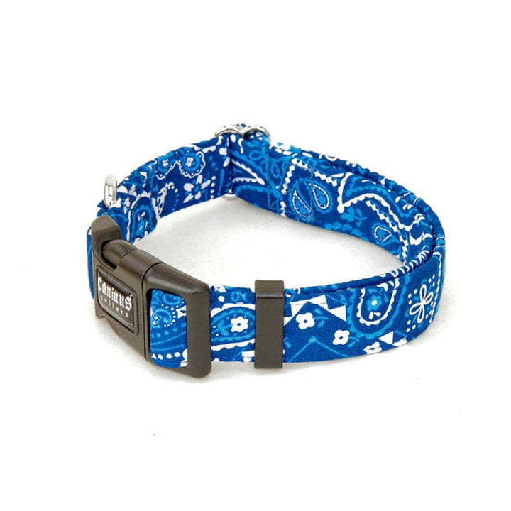 Bandana Collar