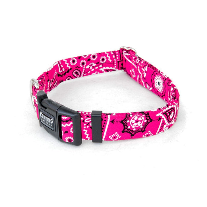 Bandana Collar