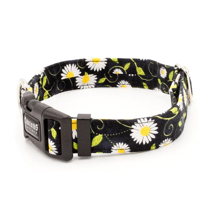 Black Daisies Collar