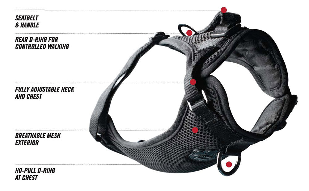 Canada Pooch Everything Harness