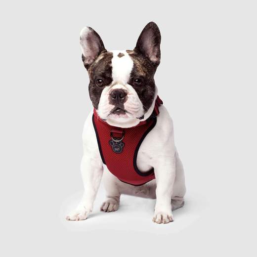 Canada Pooch Everything Harness