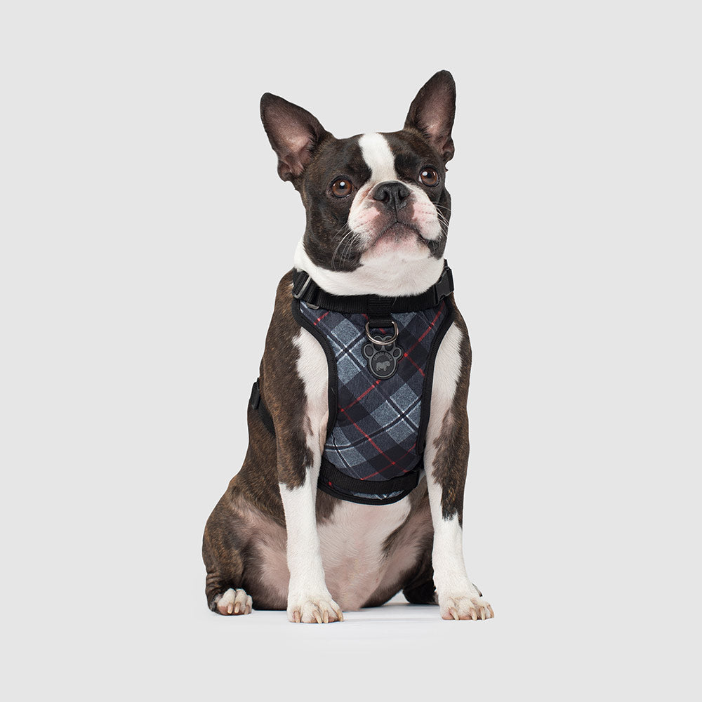 Canada Pooch Everything Harness