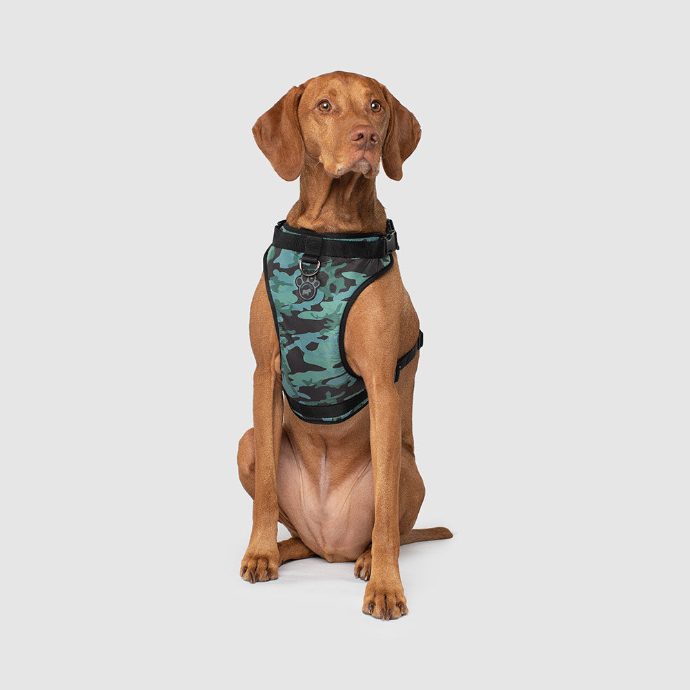 Canada Pooch Everything Harness