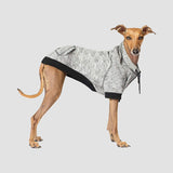 Canada Pooch Spacedye Hero Hoodie - Grey