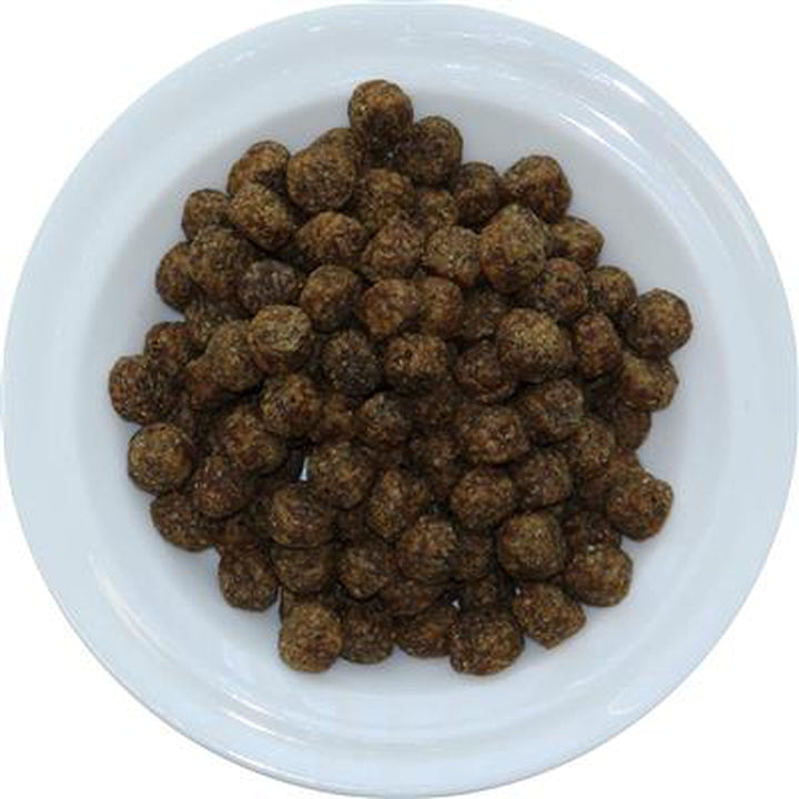 Canine Exotics Vegan Recipe Dog Food, 7 lb. Bag