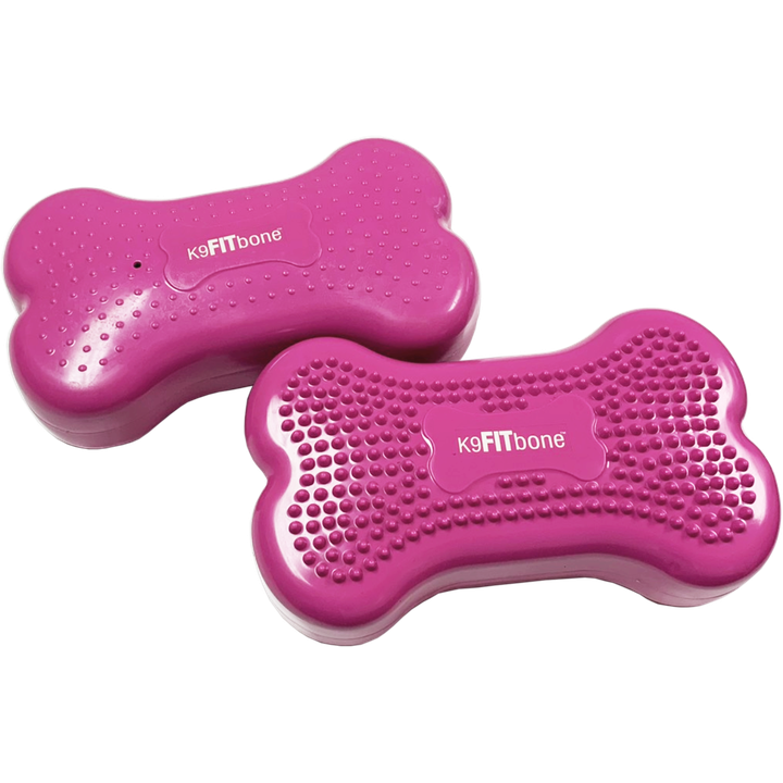 CanineGym® K9FITbone Balance Training Platform – Mini