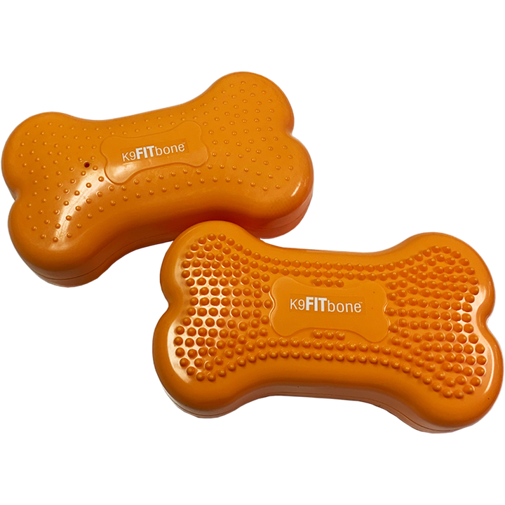 CanineGym® K9FITbone Balance Training Platform – Mini