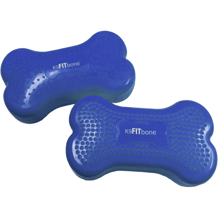 CanineGym® K9FITbone Balance Training Platform – Mini
