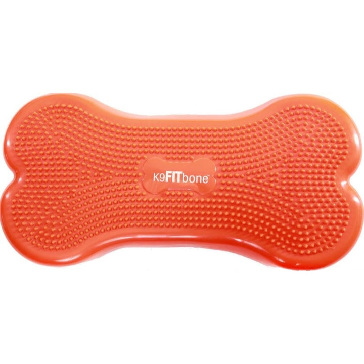 CanineGym® K9FITbone Balance Training Platform – Original