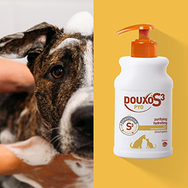 Douxo S3 PYO Shampoo