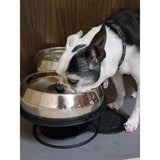 Enhanced Pet Bowl and Stand Bundle