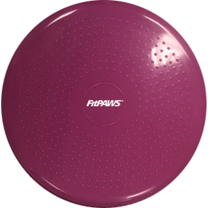 FitPAWS® Balance Discs