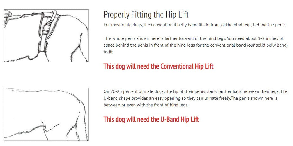 Help'em Up Harness · The Classic Pooch
