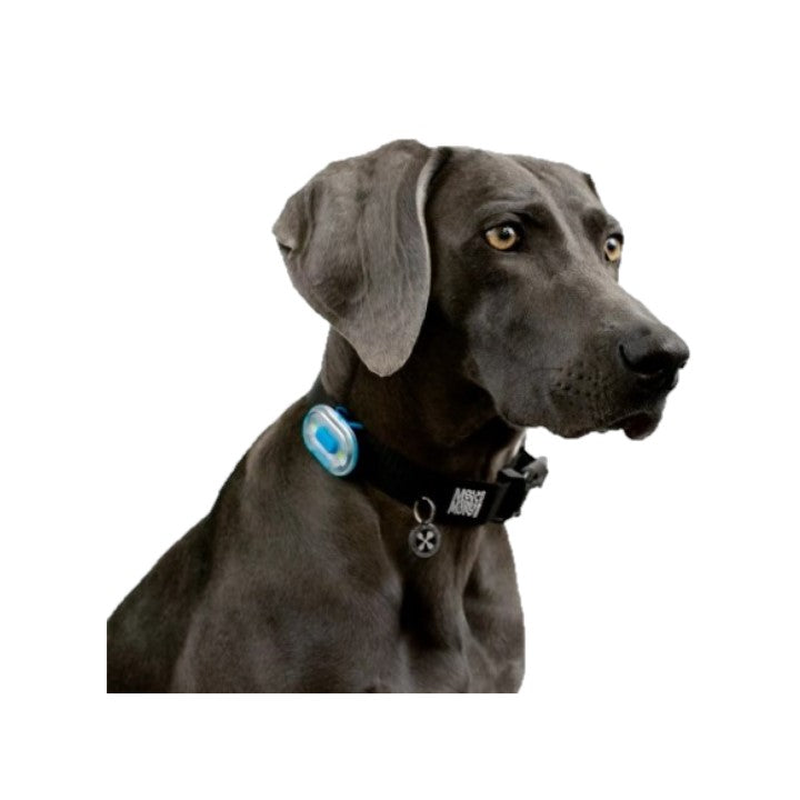 Matrix Ultra LED Safety Light by Max & Molly