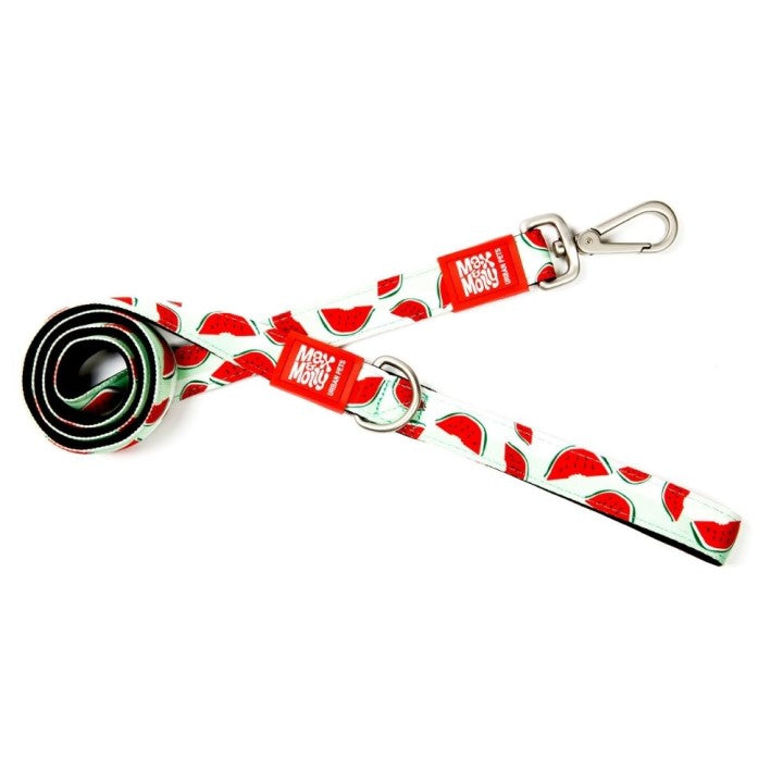 Max & Molly Neoprene Leash
